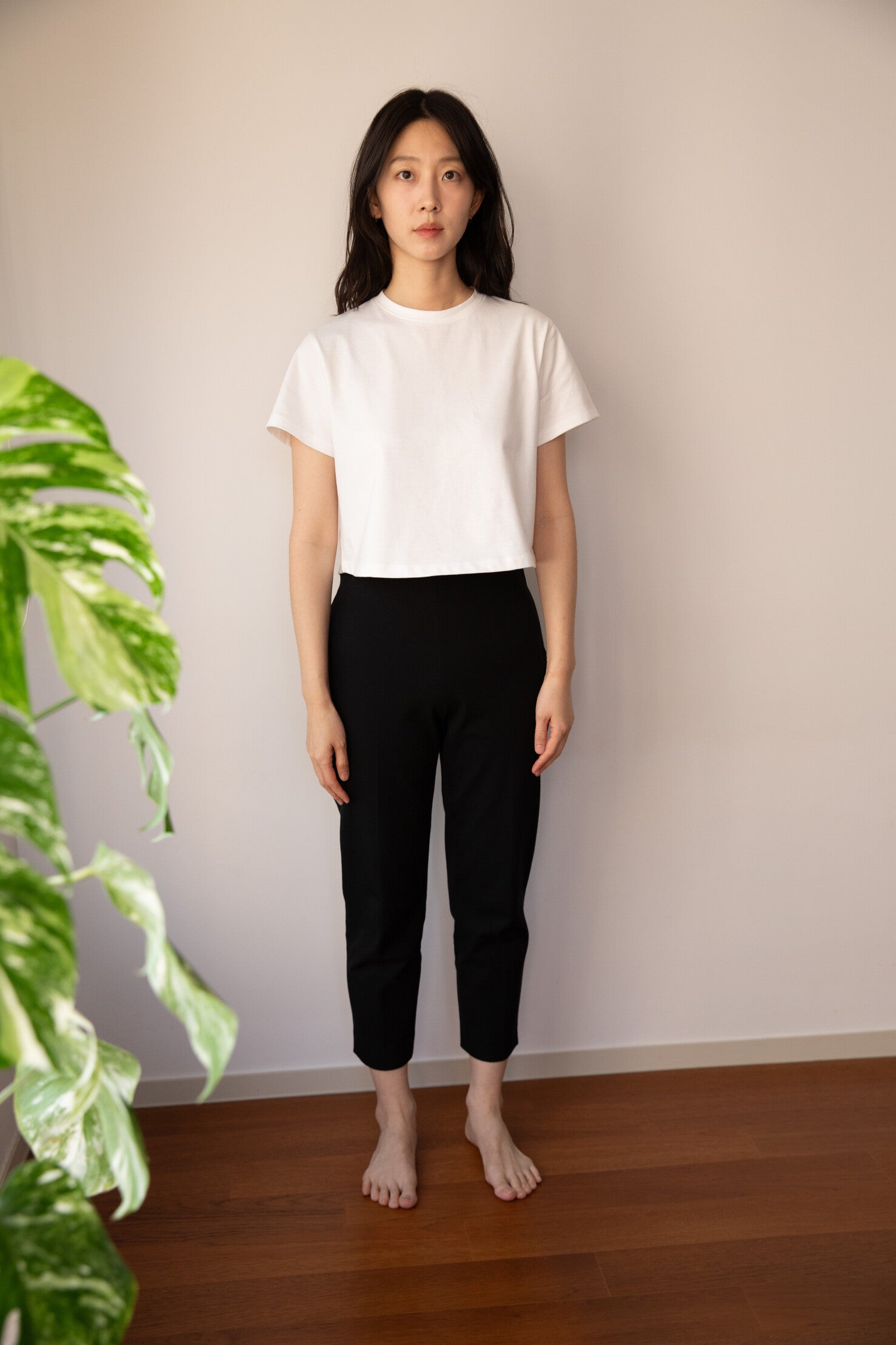 Essential Cropped Box Tee